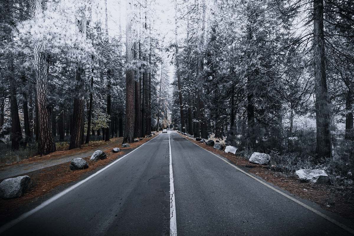 road concrete road between forest grey
